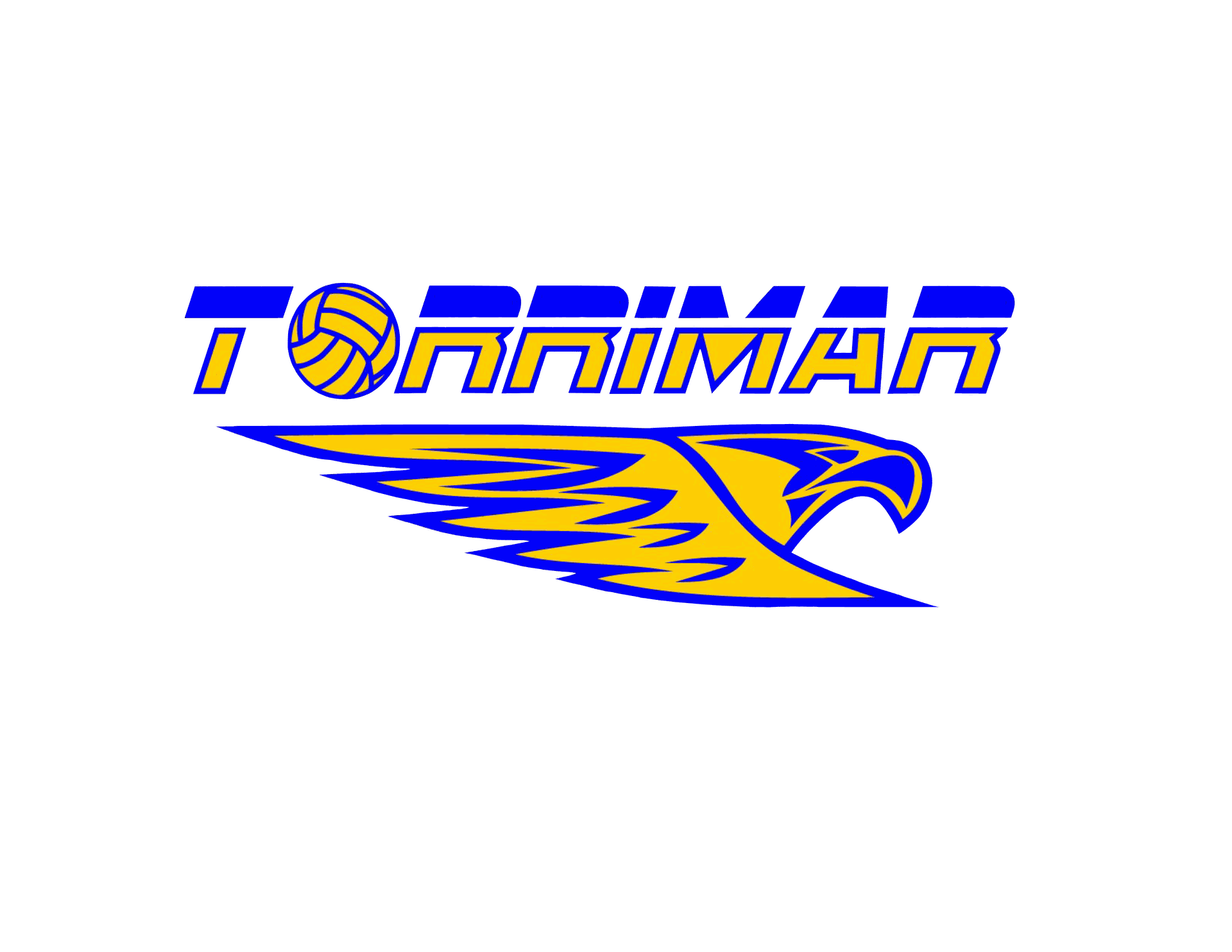 torrimarvolleyballclub